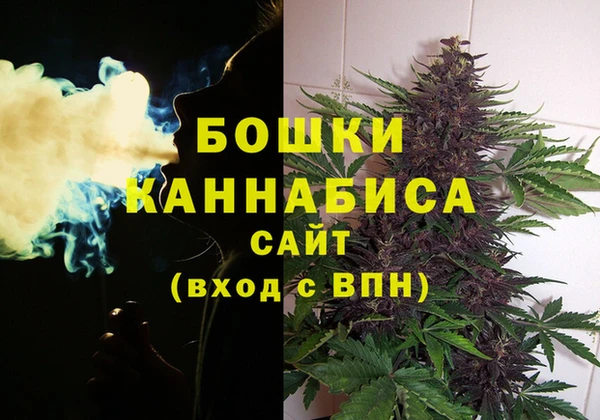 индика Богородск
