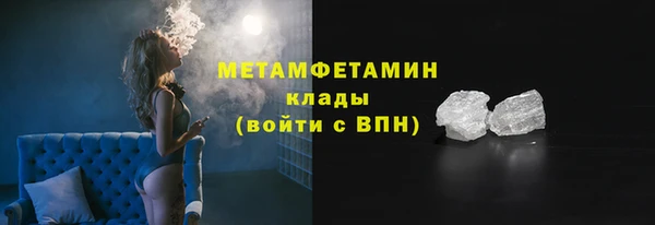 индика Богородск