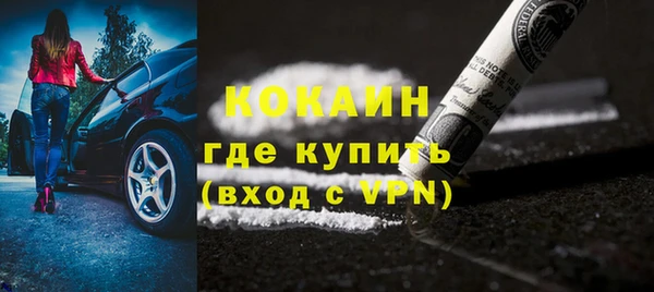 индика Богородск