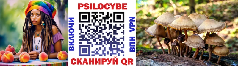 Галлюциногенные грибы GOLDEN TEACHER  OMG ссылка  Жирновск 